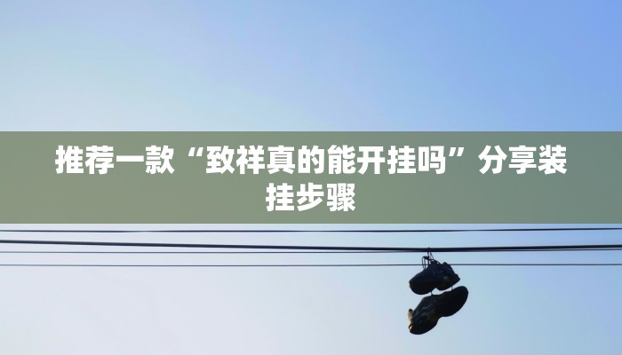 推荐一款“致祥真的能开挂吗”分享装挂步骤