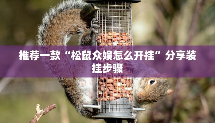 推荐一款“松鼠众娱怎么开挂”分享装挂步骤
