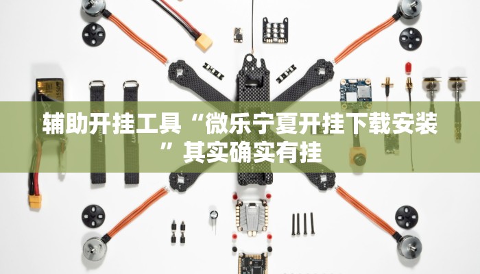 辅助开挂工具“微乐宁夏开挂下载安装”其实确实有挂