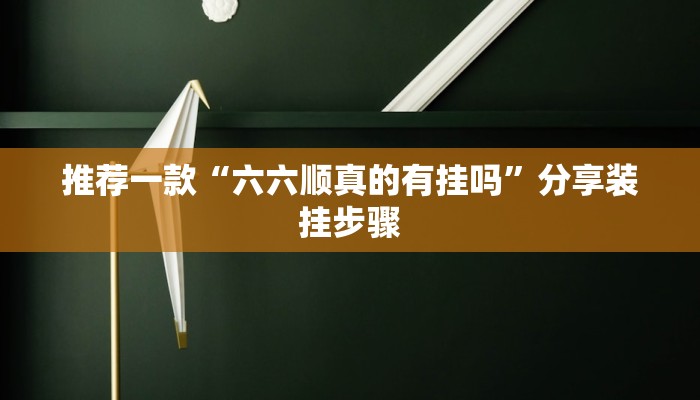 推荐一款“六六顺真的有挂吗”分享装挂步骤