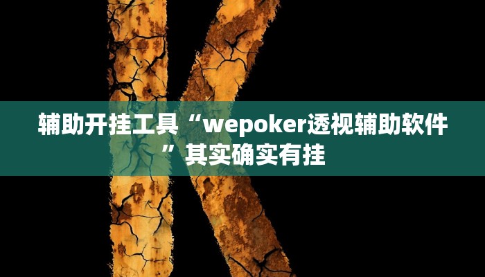 辅助开挂工具“wepoker透视辅助软件”其实确实有挂