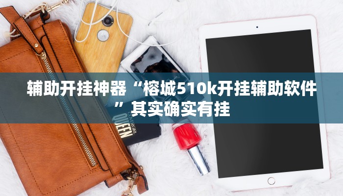 辅助开挂神器“榕城510k开挂辅助软件”其实确实有挂