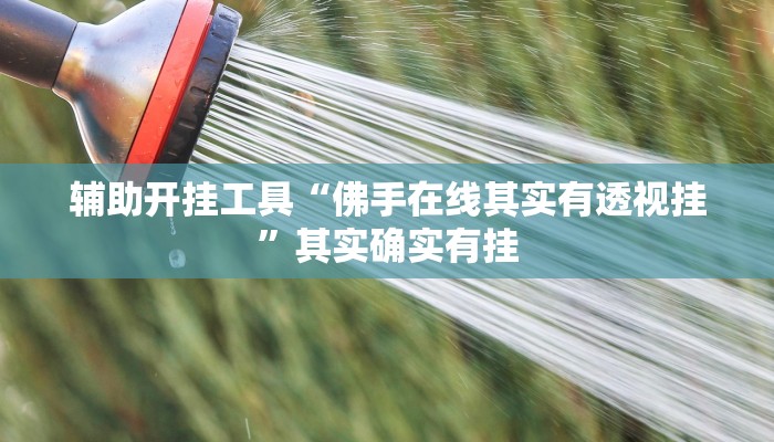 辅助开挂工具“佛手在线其实有透视挂”其实确实有挂