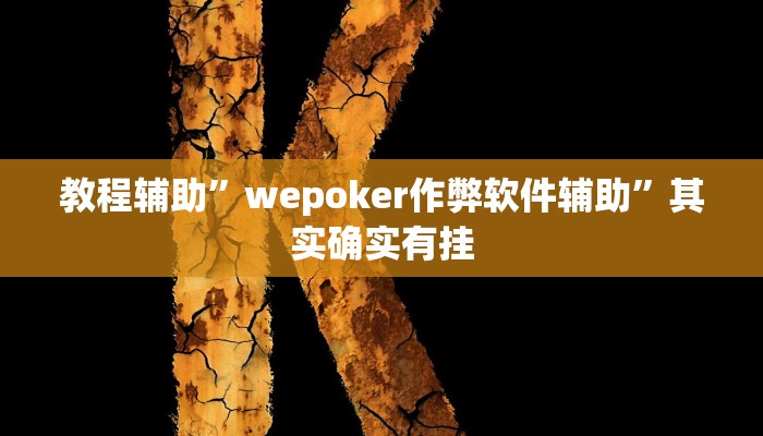 教程辅助”wepoker作弊软件辅助”其实确实有挂