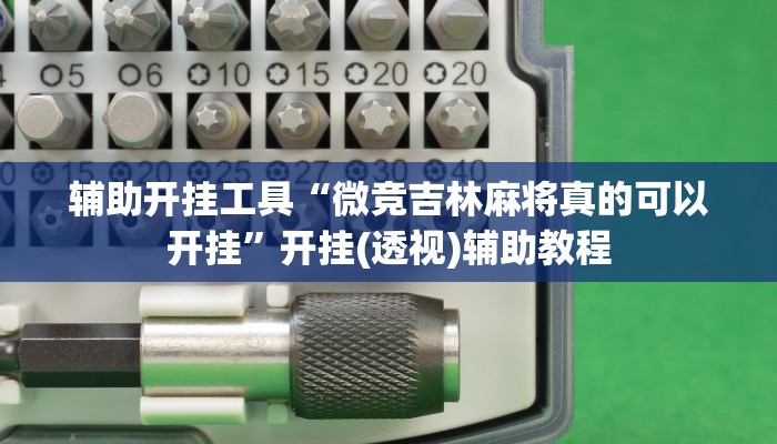 辅助开挂工具“微竞吉林麻将真的可以开挂”开挂(透视)辅助教程 辅助开挂工具“微竞吉林麻将真的可以开挂”开挂(透视)辅助教程