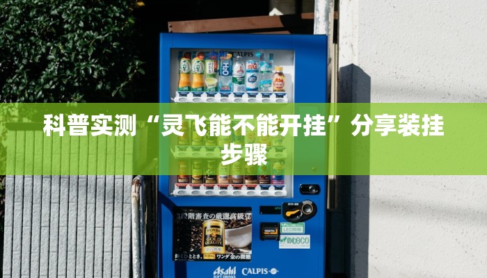 科普实测“灵飞能不能开挂”分享装挂步骤