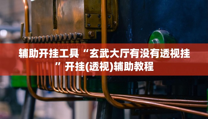 辅助开挂工具“玄武大厅有没有透视挂”开挂(透视)辅助教程