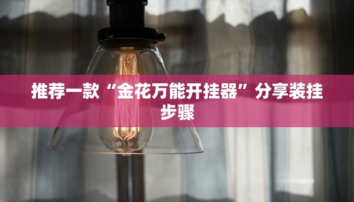 推荐一款“金花万能开挂器”分享装挂步骤 推荐一款“金花万能开挂器”分享装挂步骤
