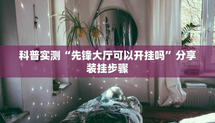科普实测“先锋大厅可以开挂吗”分享装挂步骤