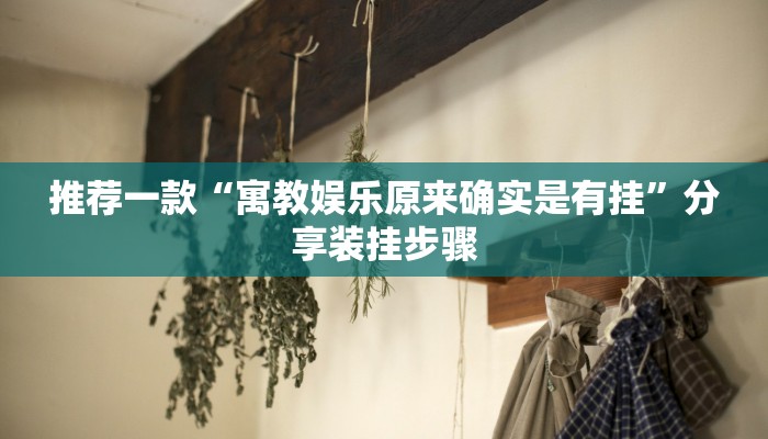 推荐一款“寓教娱乐原来确实是有挂”分享装挂步骤 推荐一款“寓教娱乐原来确实是有挂”分享装挂步骤