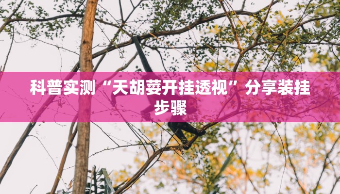 科普实测“天胡荽开挂透视”分享装挂步骤
