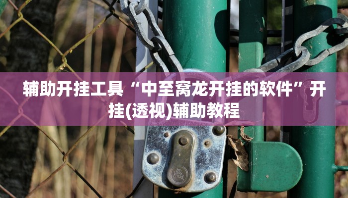 辅助开挂工具“中至窝龙开挂的软件”开挂(透视)辅助教程