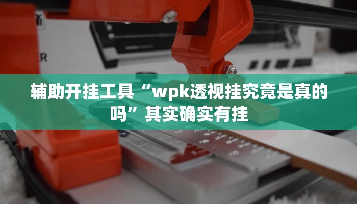 辅助开挂工具“wpk透视挂究竟是真的吗”其实确实有挂