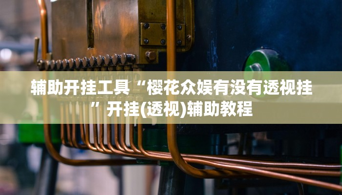 辅助开挂工具“樱花众娱有没有透视挂”开挂(透视)辅助教程