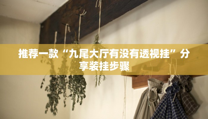 推荐一款“九尾大厅有没有透视挂”分享装挂步骤