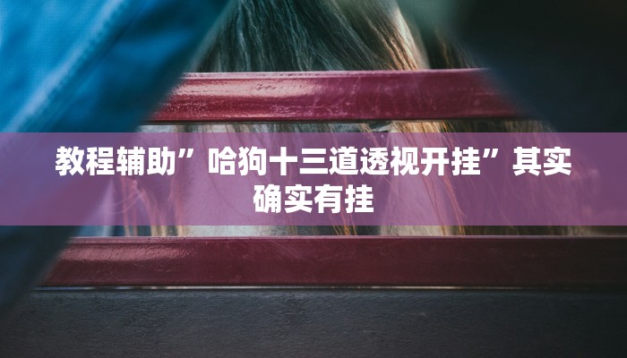 教程辅助”哈狗十三道透视开挂”其实确实有挂 教程辅助”哈狗十三道透视开挂”其实确实有挂