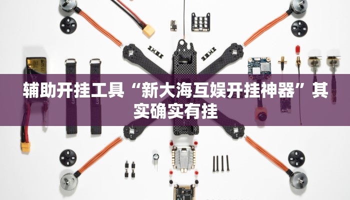 辅助开挂工具“新大海互娱开挂神器”其实确实有挂