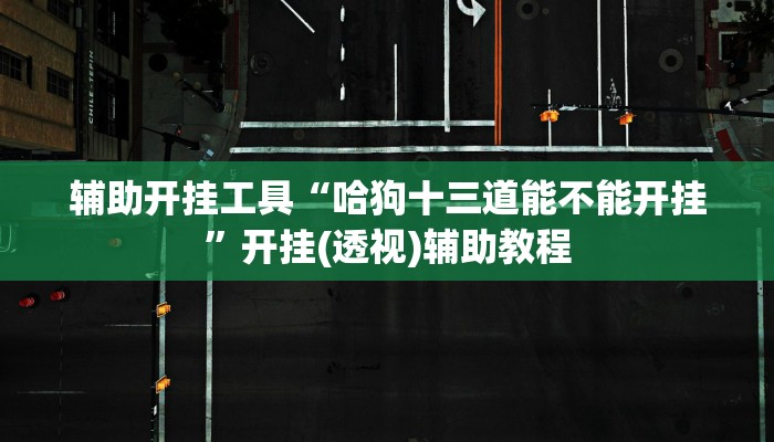 辅助开挂工具“哈狗十三道能不能开挂”开挂(透视)辅助教程 辅助开挂工具“哈狗十三道能不能开挂”开挂(透视)辅助教程