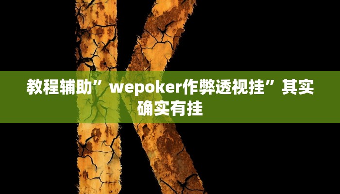 教程辅助”wepoker作弊透视挂”其实确实有挂 教程辅助”wepoker作弊透视挂”其实确实有挂