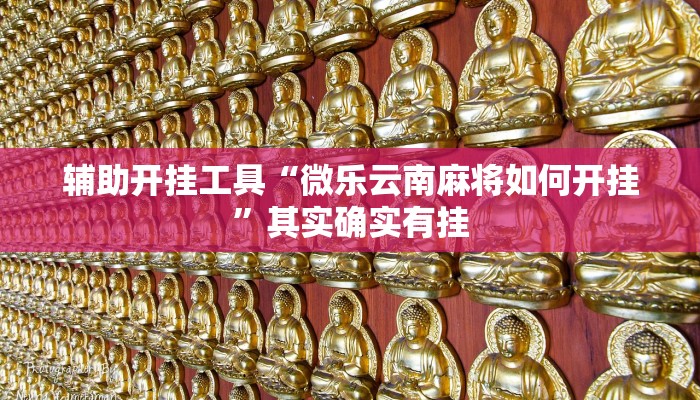 辅助开挂工具“微乐云南麻将如何开挂”其实确实有挂 辅助开挂工具“微乐云南麻将如何开挂”其实确实有挂